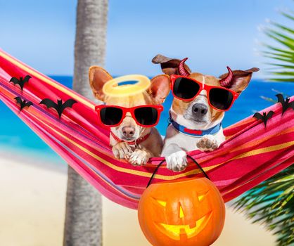 couple of dogs relaxing on a fancy red  hammock with sunglasses and a pumpkin lantern for halloween holidays