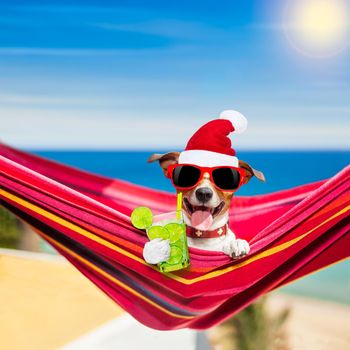 jack russell dog relaxing on a fancy red  hammock  with cocktail, with santa hat for christmas holidays
