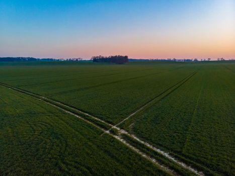 Aerial drone view to long paths between huge fields at sunny morning
