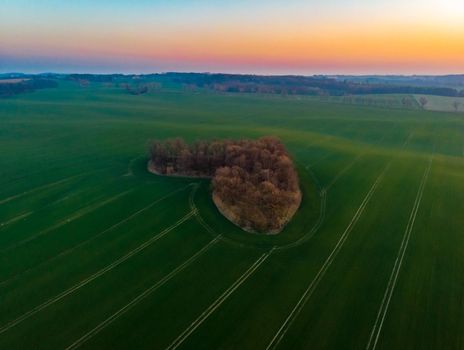 Aerial drone view to copse of love in heart shape at sunrise