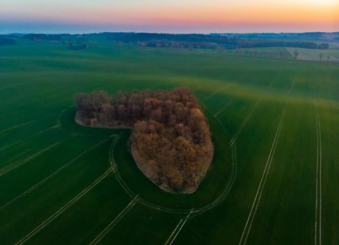 Aerial drone view to copse of love in heart shape at sunrise