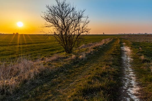 Beautiful sunrise at morning over huge green fields