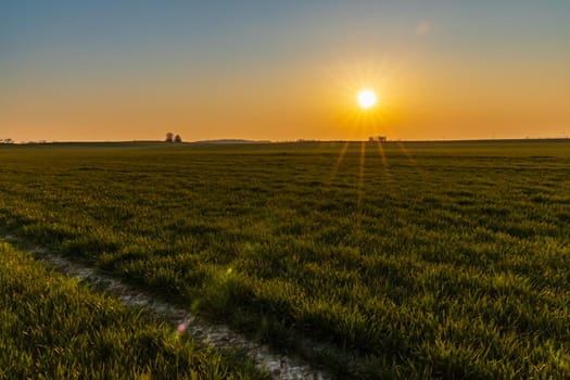 Beautiful sunrise at morning over huge green fields