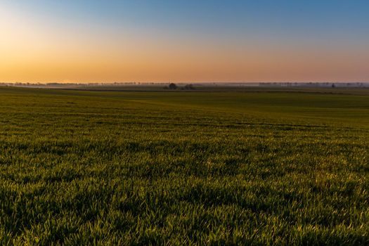 Beautiful sunrise at morning over huge green fields