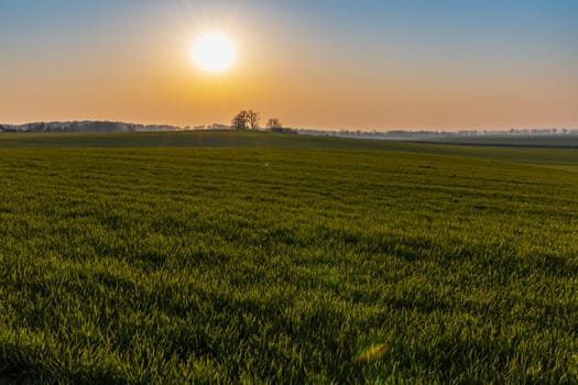 Beautiful sunrise at morning over huge green fields