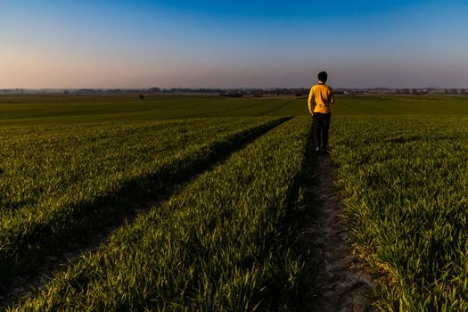 Man walking by long path between huge green fields at sunrise