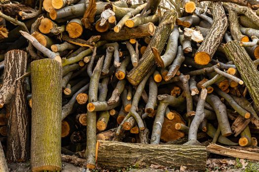 Small pile of felled trees as background