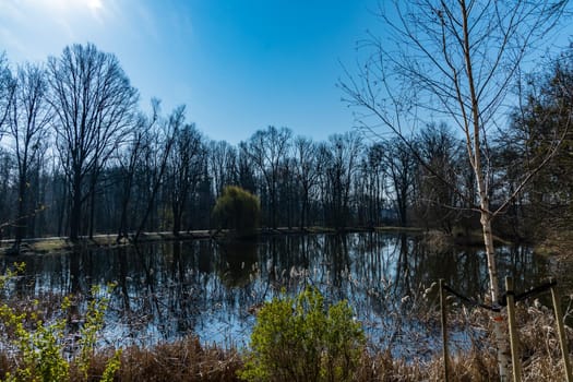 Sunny morning in park with small pond in it