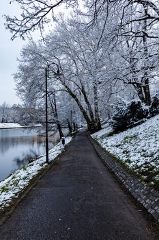 Morning in park full of snow and paths with trees around