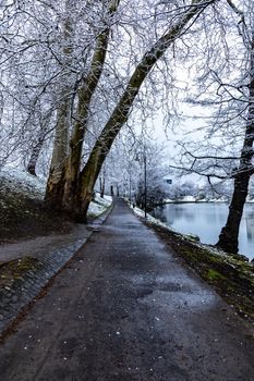 Morning in park full of snow and paths with trees around