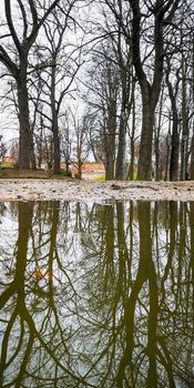 Long path in small park reflected in small puddle