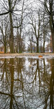 Long path in small park reflected in small puddle