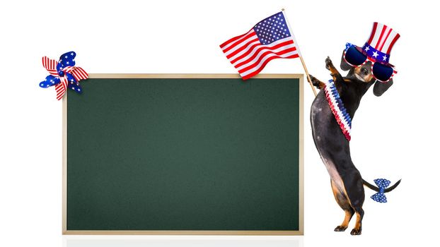 dachshund sausage dog waving a flag of usa and victory or peace fingers on independence day 4th of july, banner or placard blackboard to the side