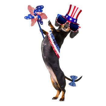 dachshund sausage dog waving a flag of usa and victory or peace fingers on independence day 4th of july, isolated on white background