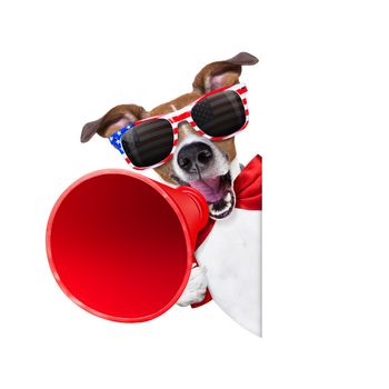 jack russell dog  shouting with a megaphone 4th of July  on independence day, isolated on white background