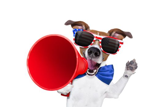 jack russell dog  shouting with a megaphone 4th of July  on independence day, isolated on white background