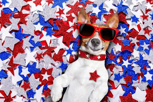 jack russell dog on independence day 4th of july on a background of usa Stars , wearing funny sunglasses