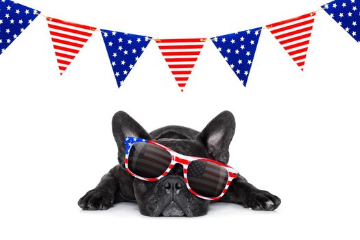 french bulldog dog celebrating  independence day 4th of july with  sunglasses,  isolated on white background