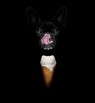 french bulldog in dark isolated background ,with a waffle cone of cold and fresh yummy delicious ice cream