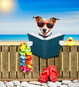 jack russel dog resting and relaxing on a wall or fence at the  beach  ocean shore, on summer vacation holidays, reading a book