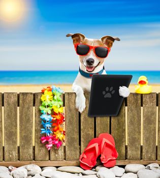 jack russel dog resting and relaxing on a wall or fence at the  beach  ocean shore, on summer vacation holidays, reading a tablet ebook  digital screen