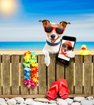 jack russel dog resting and relaxing on a wall or fence at the  beach  ocean shore, on summer vacation holidays, wearing sunglasses, taking  a selfie with smartphone or mobile phone