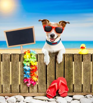 jack russel dog resting and relaxing on a wall or fence at the  beach  ocean shore, on summer vacation holidays, wearing sunglasses, empty banner and placard to the side