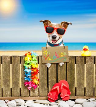 jack russel dog resting and relaxing on a wall or fence at the  beach  ocean shore, on summer vacation holidays, wearing sunglasses, with  cardboard, with  cardboard
