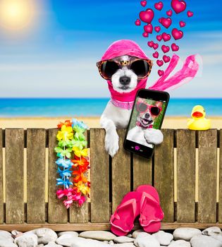 terrier dog resting and relaxing on a wall or fence at the  beach  ocean shore, on summer vacation holidays, wearing sunglasses, taking  a selfie with smartphone or mobile phone