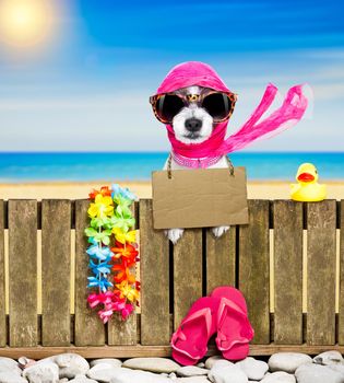 terrier dog resting and relaxing on a wall or fence at the  beach  ocean shore, on summer vacation holidays, wearing sunglasses, with  cardboard, with  cardboard