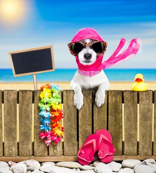 terrier dog resting and relaxing on a wall or fence at the  beach  ocean shore, on summer vacation holidays, wearing sunglasses, empty banner and placard to the side
