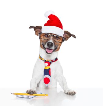 jack russell boss or business dog in office desk  at christmas holidays with santa claus hat and reading glasses