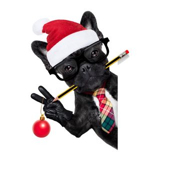 office businessman french bulldog dog with pen or pencil in mouth behind a  blank white banner or placard, isolated on white background, on christmas holidays vacation with santa claus hat