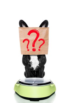 french bulldog  dog with guilty conscience  for overweight, and to loose weight , standing on a scale with paper bag over head , question marks as drawings