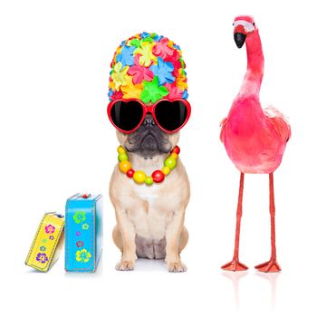 dog and owner sitting close together at the beach on summer vacation holidays, close to the ocean shore and a pink gay flamingo