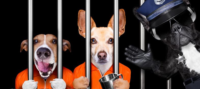 couple of  criminal dogs behind bars in police station, jail prison, or shelter  for bad behavior, police officer to the side