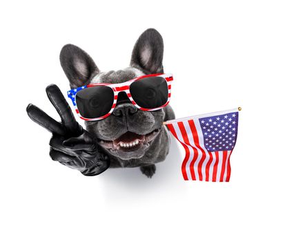 french bulldog waving a flag of usa and victory or peace fingers on independence day 4th of july with sunglasses