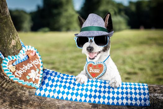 bavarian poodle  dog  holding  a beer mug  outdoors by the river and mountains  , ready for the beer party celebration festival in munich