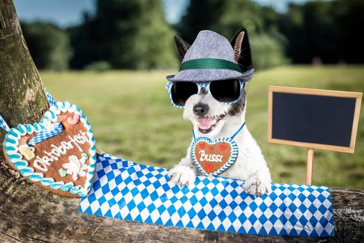 bavarian poodle  dog  holding  a beer mug  outdoors by the river and mountains  , ready for the beer party celebration festival in munich