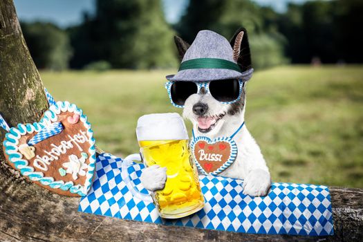 bavarian poodle  dog  holding  a beer mug  outdoors by the river and mountains  , ready for the beer party celebration festival in munich