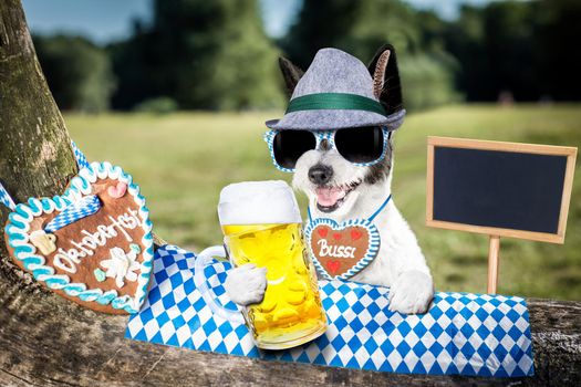 bavarian poodle  dog  holding  a beer mug  outdoors by the river and mountains  , ready for the beer party celebration festival in munich