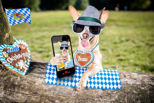 bavarian chihuahua  dog taking a selfie holding  a beer mug  outdoors by the river and mountains  , ready for the beer party celebration festival in munich
