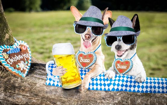 bavarian couple of  dogs  holding  a beer mug  outdoors by the river and mountains  , ready for the beer party celebration festival in munich