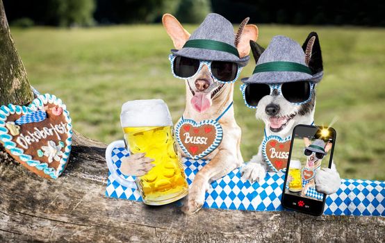 bavarian couple of  dogs  holding  a beer mug  and taking a selfie outdoors by the river and mountains  , ready for the beer party celebration festival in munich