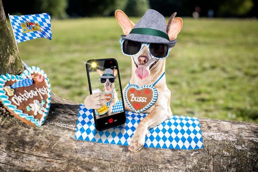 bavarian chihuahua  dog taking a selfie holding  a beer mug  outdoors by the river and mountains  , ready for the beer party celebration festival in munich