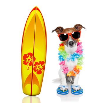 summer paradise vacation surfer jack russell dog with surfboard and sunglasses isolated on white background