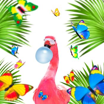summer paradise vacation surfer flamingo with surfboard and sunglasses isolated on white background, butterflies and palms