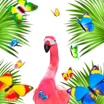 summer paradise vacation surfer flamingo  with surfboard and sunglasses isolated on white background, butterflies and palms