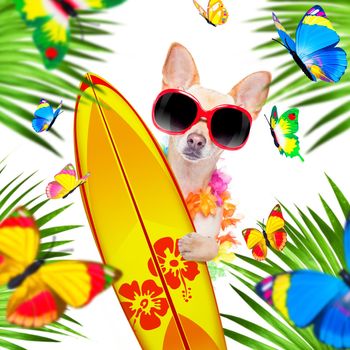 summer paradise vacation surfer chihuahua dog with surfboard and sunglasses isolated on white background, butterflies and palms