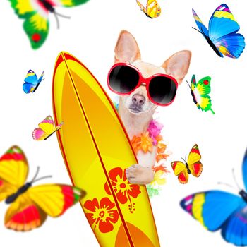 summer paradise vacation surfer chihuahua dog with surfboard and sunglasses isolated on white background, butterflies and palms